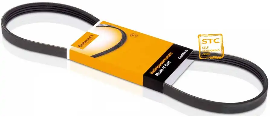 CORREIA FOCUS 1.6 16V SIGMA ELASTICA VIR/ALT/BA/DH